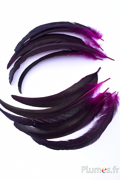Coq fouet - 25-30 cm - noir-fuchsia